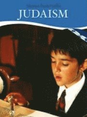 bokomslag Stories from Judaism