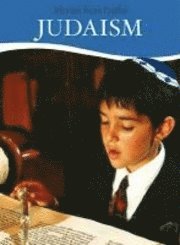 bokomslag Stories from Judaism