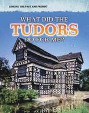 bokomslag What Did the Tudors Do for Me?
