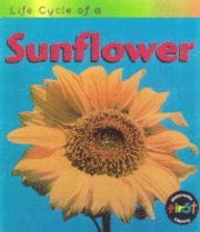 Sunflower 1