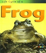 bokomslag Life Cycle Of A Frog