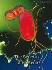 bokomslag The Benefits of Bacteria