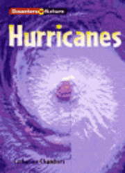 bokomslag Disasters in Nature: Hurricane (Cased)