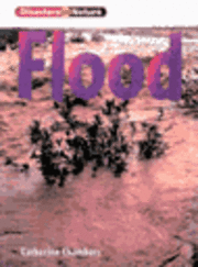 bokomslag Disasters in Nature: Flood (Cased)