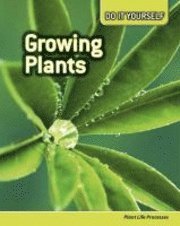 bokomslag Growing Plants