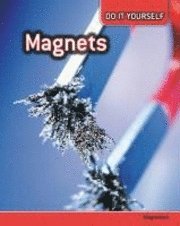 bokomslag Magnets