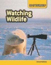 bokomslag Watching Wildlife