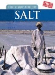 bokomslag The Story Behind Salt