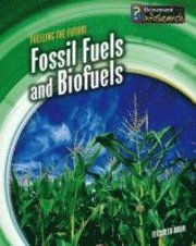 bokomslag Fossil Fuels and Biofuels