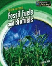 bokomslag Fossil Fuels and Biofuels