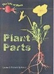 Plant Parts 1