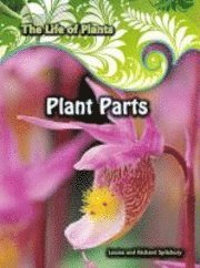 Plant Parts 1