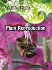 bokomslag Plant Reproduction