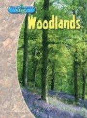 Woodlands 1