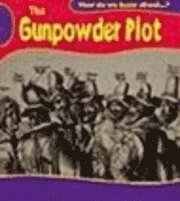 bokomslag Gunpowder Plot