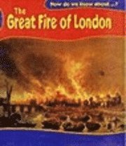 bokomslag The Great Fire of London