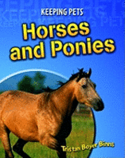 Horses And Ponies 1