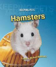 Hamsters 1
