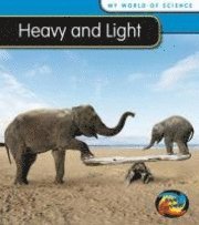 Heavy and Light 1