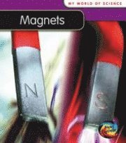 bokomslag Magnets