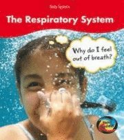 The Respiratory System 1