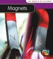 bokomslag Magnets