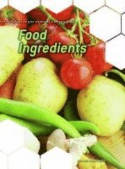 bokomslag Food Ingredients