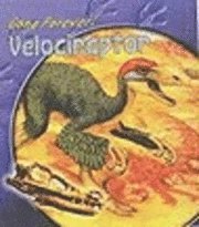 bokomslag Gone Forever Velociraptor Hardback