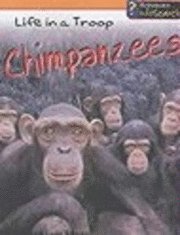 bokomslag Animal Groups: Life In A Troop - Chimpanzees