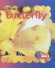 bokomslag Life As A Butterfly