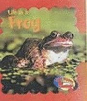 bokomslag Life As A Frog