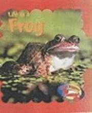 Life As A Frog 1