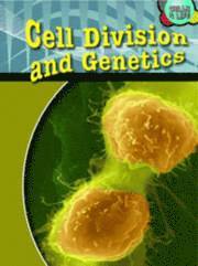 bokomslag Cell Division and Genetics
