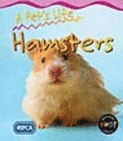 bokomslag Hamster