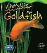 bokomslag Goldfish