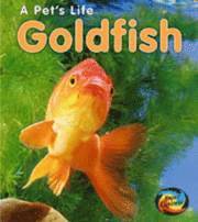 Goldfish 1