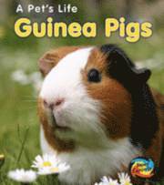 bokomslag Guinea Pigs