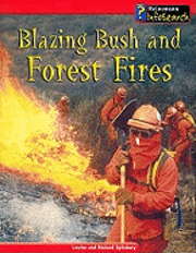 Blazing Bush And Forest Fires 1