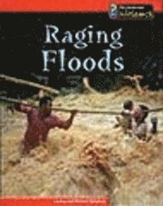 bokomslag Raging Floods