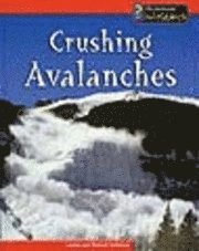bokomslag Crushing Avalanches
