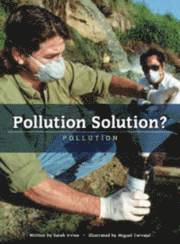 bokomslag Pollution Solution? Pollution