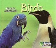 Birds 1