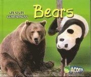 bokomslag Bears