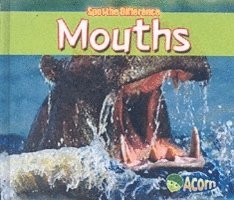 Mouths 1