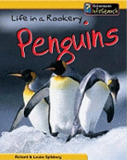 Life In A Rookery Of Penguins 1