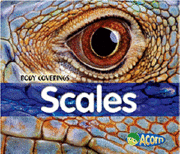 bokomslag Scales