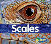 Scales 1