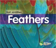 Feathers 1