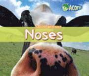 Noses 1