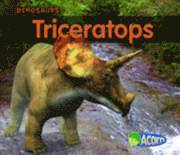 bokomslag Triceratops